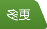 更多